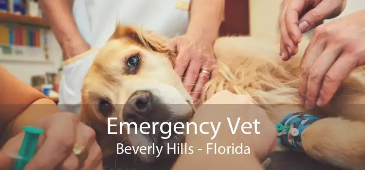 Emergency Vet Beverly Hills - Florida