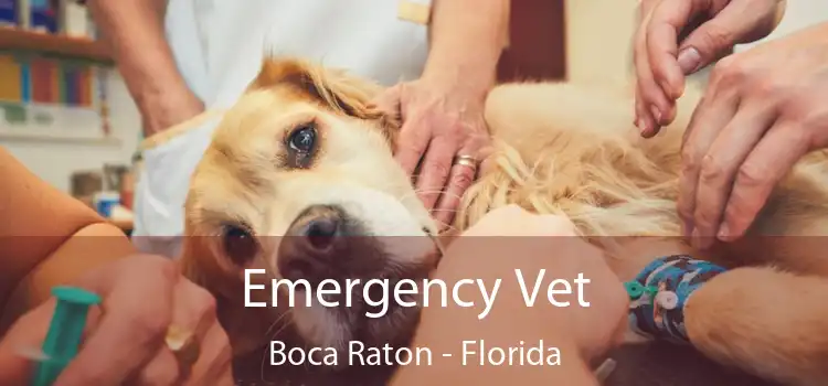 Emergency Vet Boca Raton - Florida