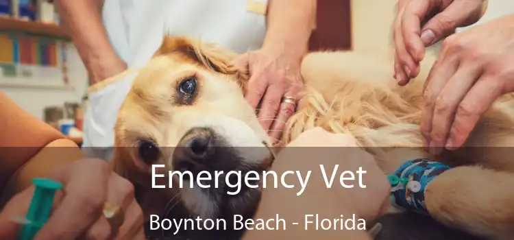 Emergency Vet Boynton Beach - Florida