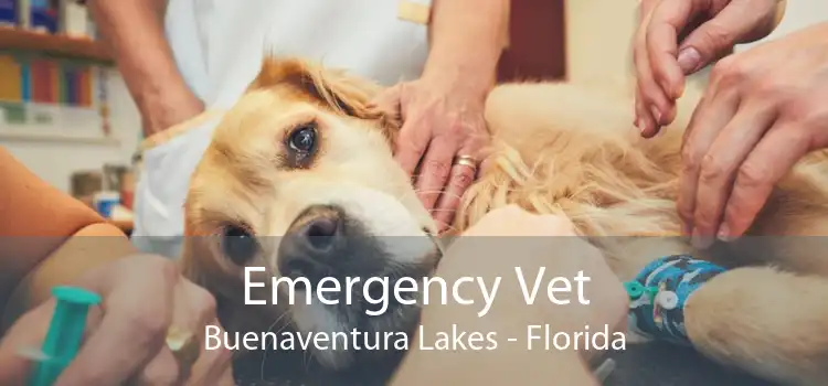 Emergency Vet Buenaventura Lakes - Florida