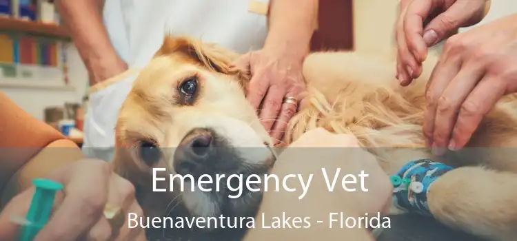 Emergency Vet Buenaventura Lakes - Florida