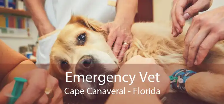 Emergency Vet Cape Canaveral - Florida