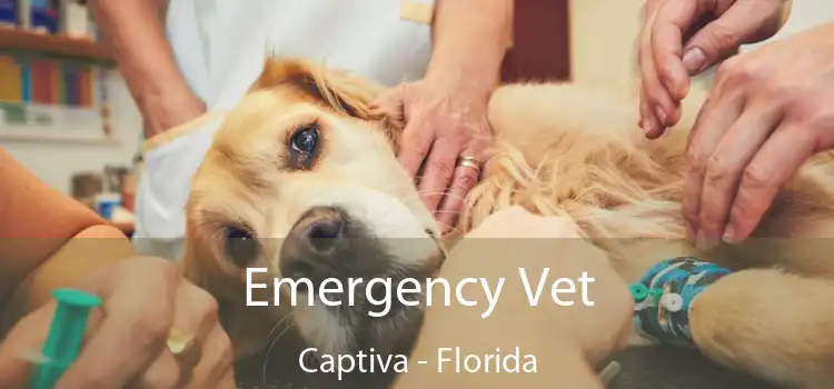 Emergency Vet Captiva - Florida