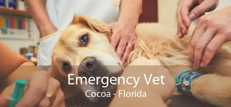 Emergency Vet Cocoa - Florida