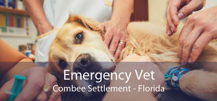Emergency Vet Combee Settlement - Florida