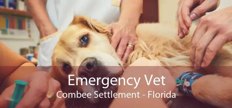 Emergency Vet Combee Settlement - Florida