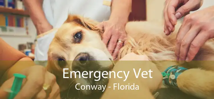 Emergency Vet Conway - Florida