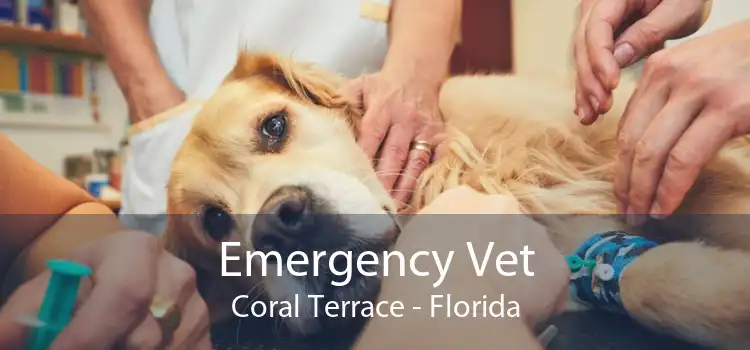 Emergency Vet Coral Terrace - Florida