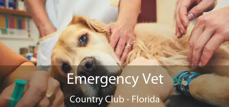 Emergency Vet Country Club - Florida