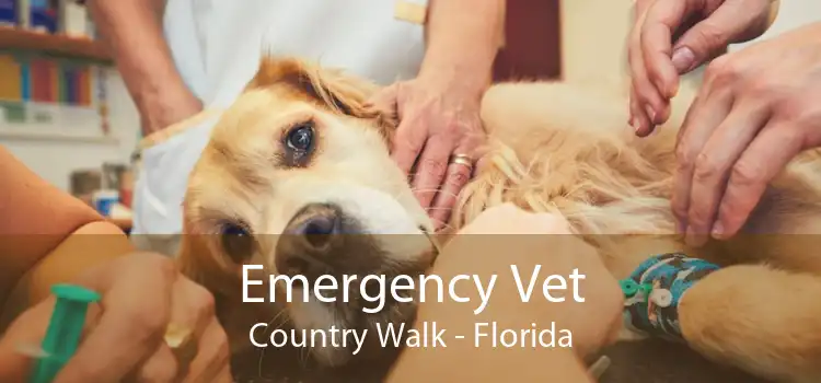 Emergency Vet Country Walk - Florida