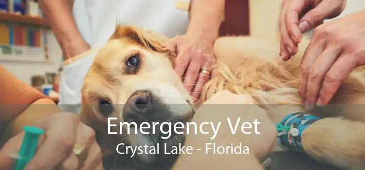 Emergency Vet Crystal Lake - Florida