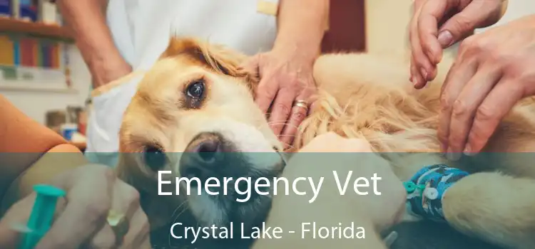 Emergency Vet Crystal Lake - Florida