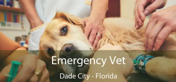 Emergency Vet Dade City - Florida