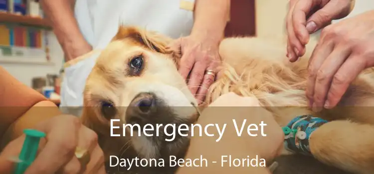 Emergency Vet Daytona Beach - Florida