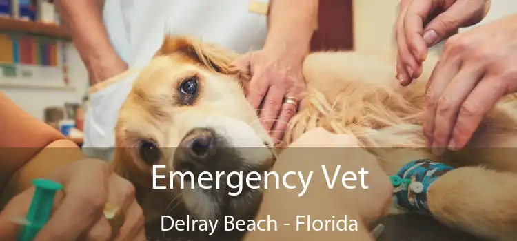 Emergency Vet Delray Beach - Florida