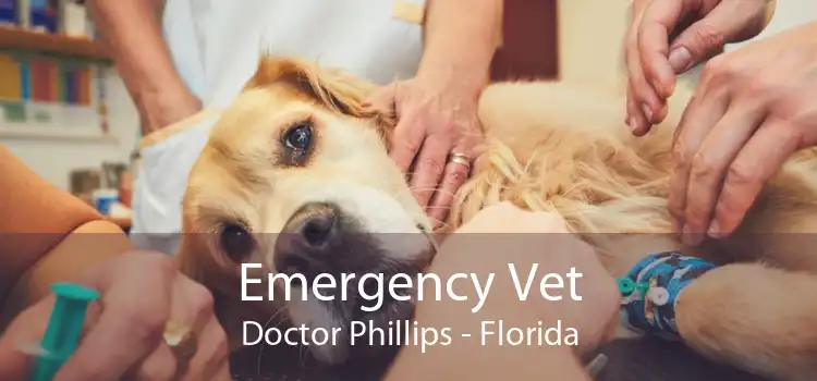 Emergency Vet Doctor Phillips - Florida