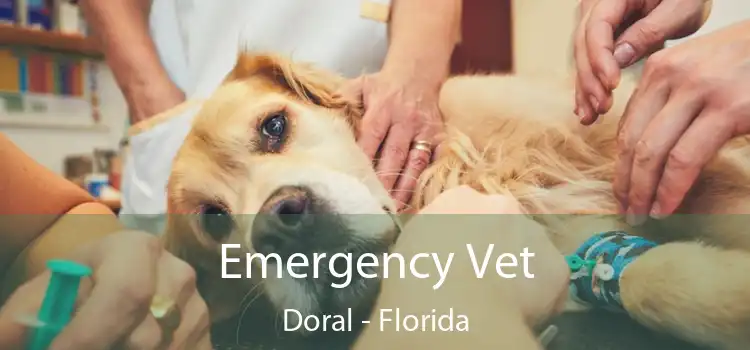 Emergency Vet Doral - Florida