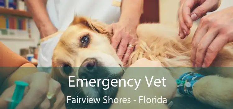 Emergency Vet Fairview Shores - Florida