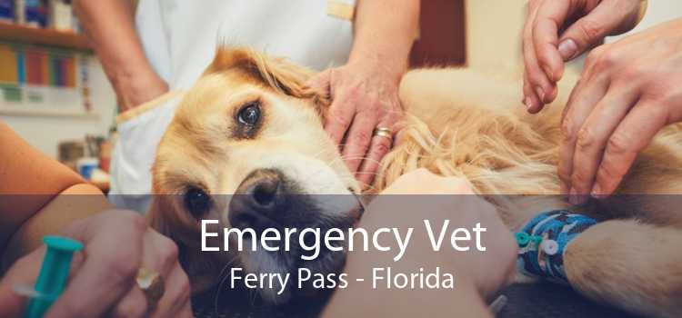 Emergency Vet Ferry Pass - Florida