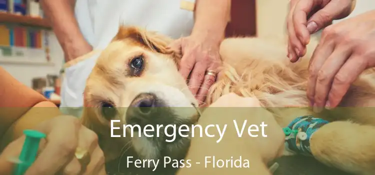 Emergency Vet Ferry Pass - Florida