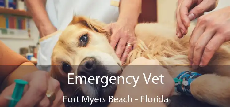 Emergency Vet Fort Myers Beach - Florida