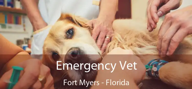 Emergency Vet Fort Myers - Florida