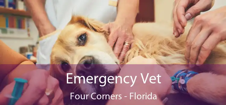 Emergency Vet Four Corners - Florida