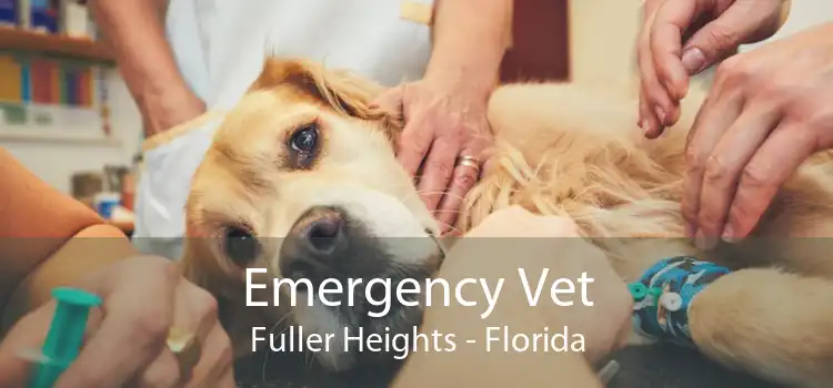 Emergency Vet Fuller Heights - Florida