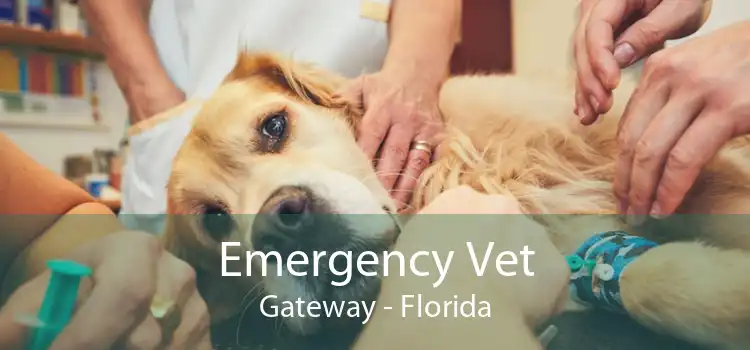 Emergency Vet Gateway - Florida