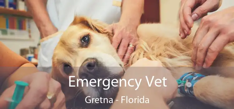 Emergency Vet Gretna - Florida