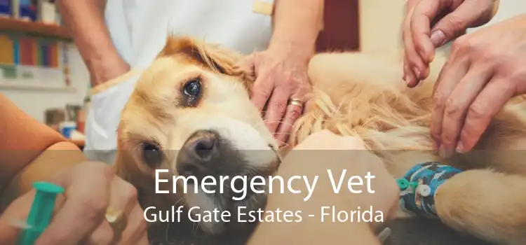 Emergency Vet Gulf Gate Estates - Florida