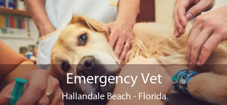 Emergency Vet Hallandale Beach - Florida