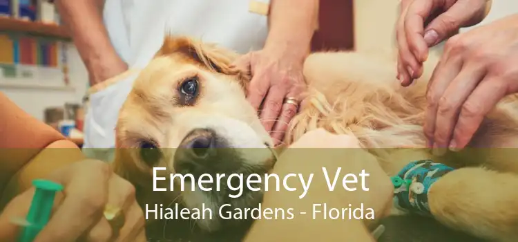 Emergency Vet Hialeah Gardens - Florida