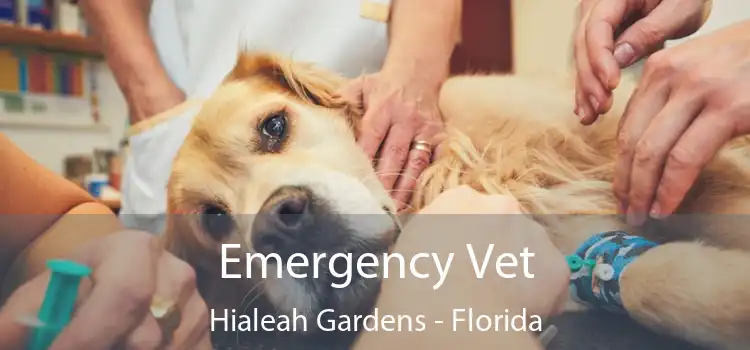 Emergency Vet Hialeah Gardens - Florida