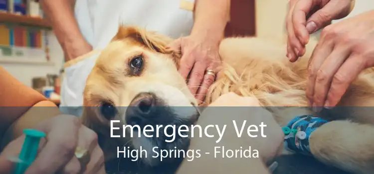 Emergency Vet High Springs - Florida