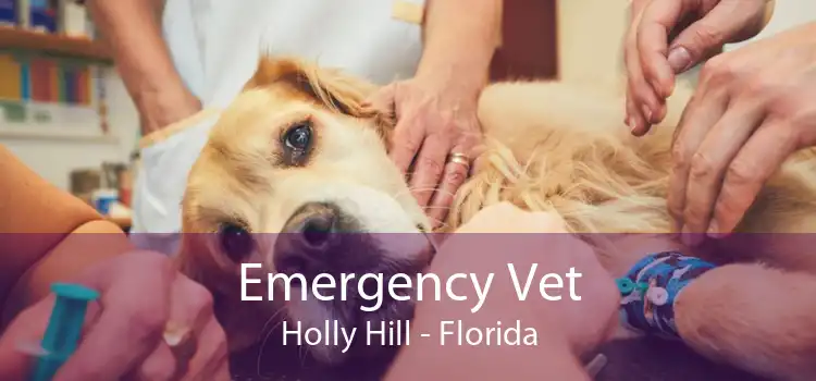 Emergency Vet Holly Hill - Florida