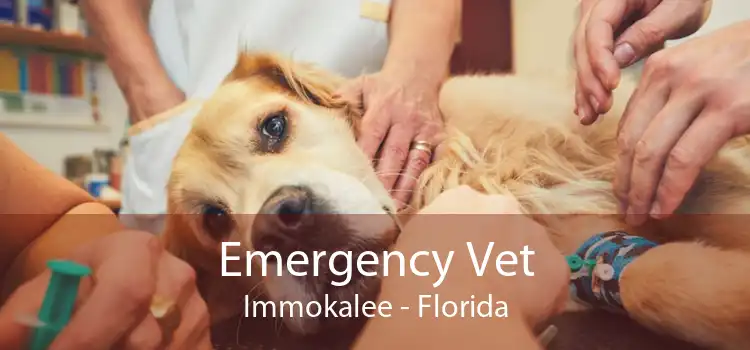 Emergency Vet Immokalee - Florida