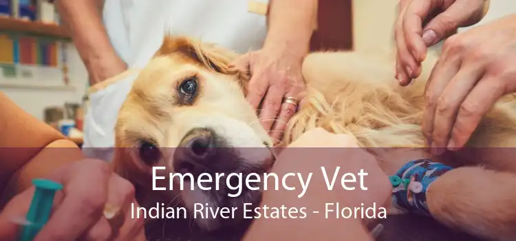 Emergency Vet Indian River Estates - Florida