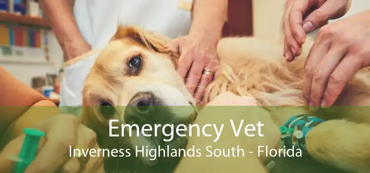 Emergency Vet Inverness Highlands South - Florida