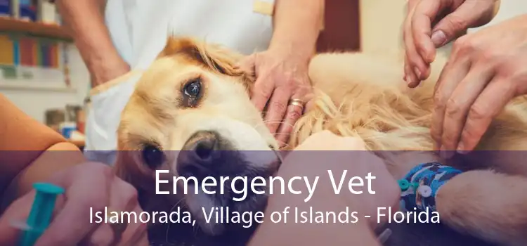 Emergency Vet Islamorada, Village of Islands - Florida