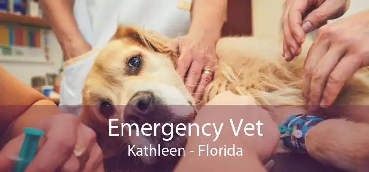 Emergency Vet Kathleen - Florida