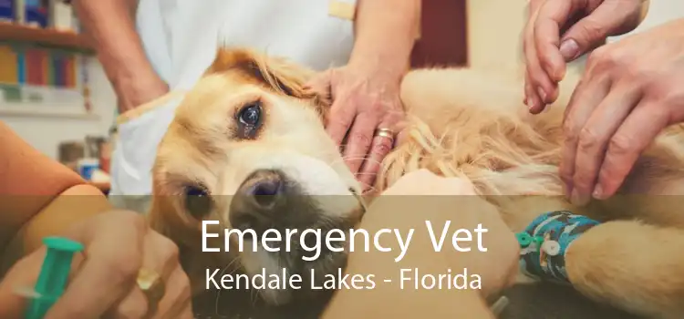 Emergency Vet Kendale Lakes - Florida