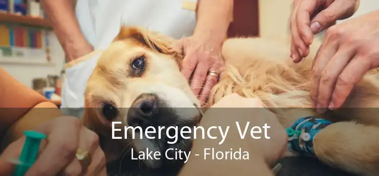 Emergency Vet Lake City - Florida