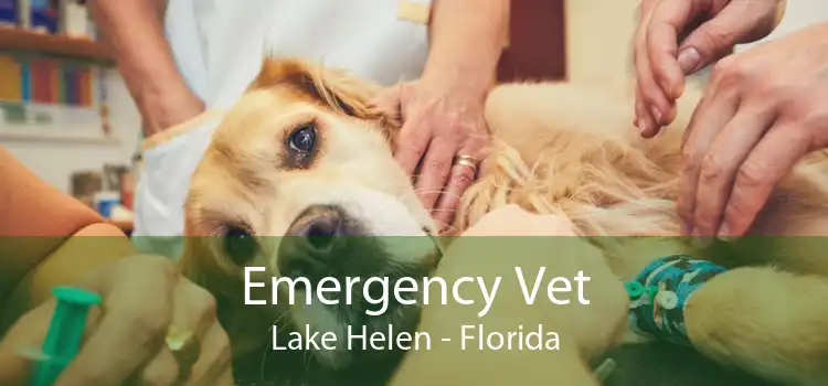 Emergency Vet Lake Helen - Florida