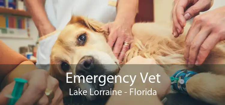 Emergency Vet Lake Lorraine - Florida