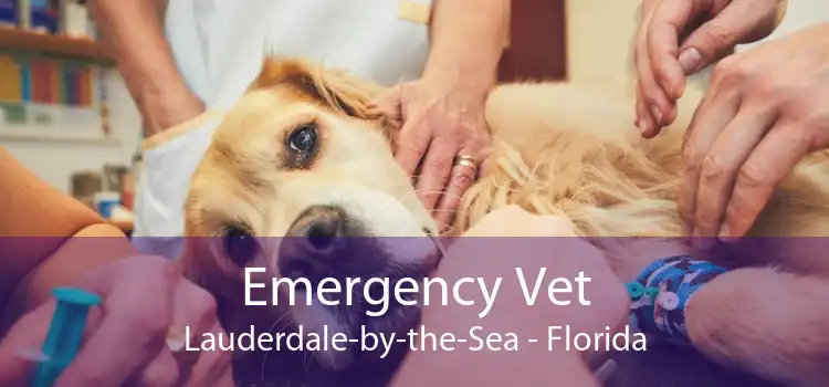 Emergency Vet Lauderdale-by-the-Sea - Florida