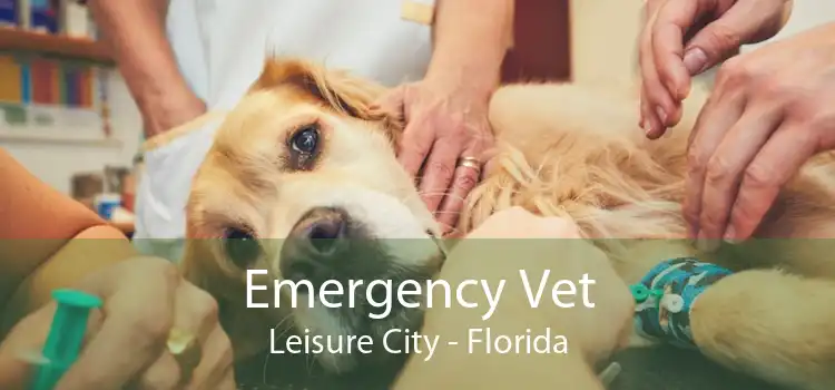 Emergency Vet Leisure City - Florida