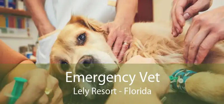 Emergency Vet Lely Resort - Florida
