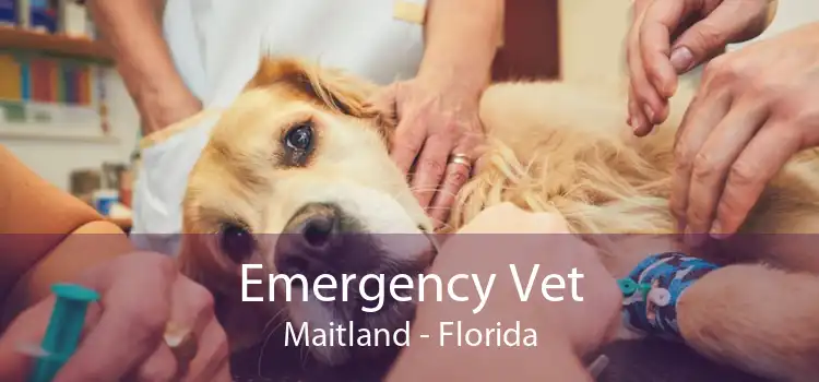 Emergency Vet Maitland - Florida