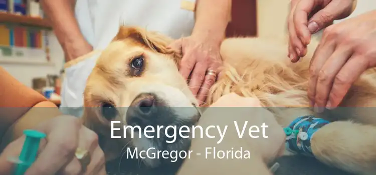 Emergency Vet McGregor - Florida